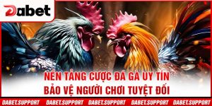 Nền tảng cược đá gà uy tín – bảo vệ người chơi tuyệt đối