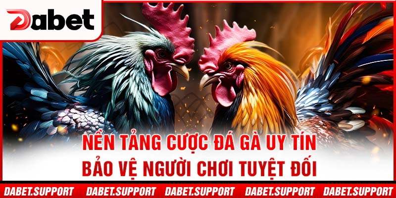 Nền tảng cược đá gà uy tín – bảo vệ người chơi tuyệt đối