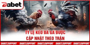 Tỷ lệ kèo đá gà được cập nhật theo trận