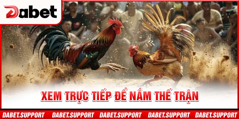 Xem trực tiếp để nắm thế trận